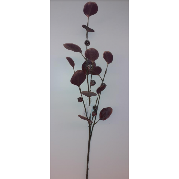Eukalypthus gren lilla